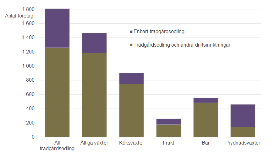 7 Statistikrapport 2014:06 I Norrland och Svealand ägnade sig 37 respektive 39 % av trädgårdsodlarna uteslutande åt just trädgårdsodling, medan samma andel för Götaland var 28 %.