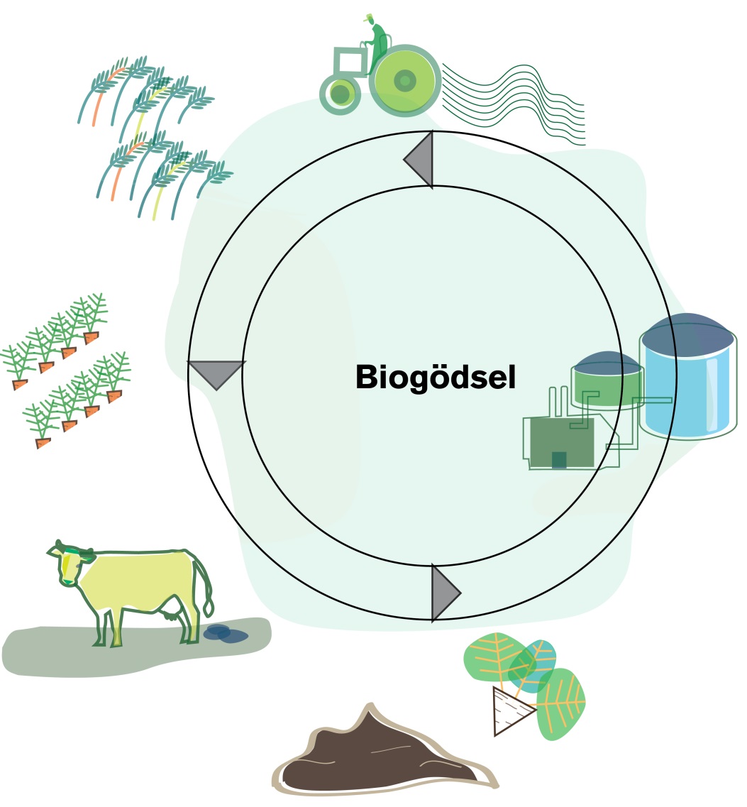 Fördelar med biogödsel Ersätter handelsgödsel och minskar importberoende Återför växtnäringen till jordbruket Innehåller fosfor en ändlig