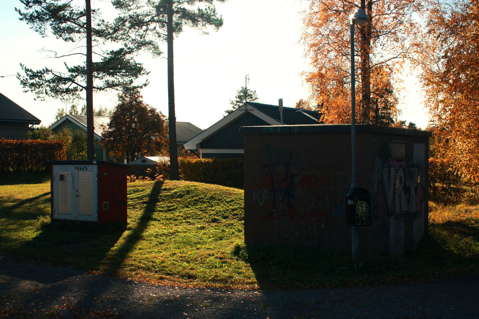 PLATS 6 Korsning mellan Villebrådsstigen och Viltstråksstigen 6.1.