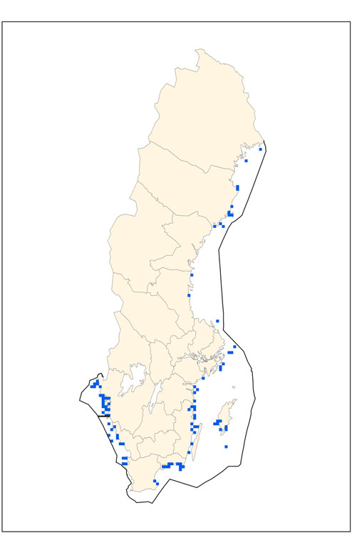 Figur 1. Svenskt utbredningsområde (till vänster) och förekomstareal (till höger). Förutsättningar för bevarande Länk: Gemensam text (förutsättningar för bevarande) http://www.naturvardsverket.