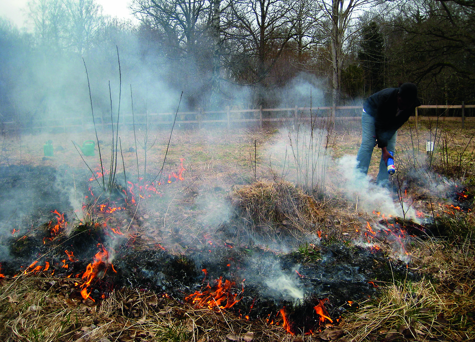figur 1. Vårbränning i försöksskala i Sättra ängars naturreservat i västra Östergötland. foto: Per Milberg, april 2011. Spring burning trial at Sättra ängar in the province of Östergötland.