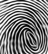 2.8. DISKRETISERING. DIGITALA BILDER 7 Figur 2.6: Originalbild av tumavtryck f(x, y, 0) och bilden f(x, y, t), t > 0. 2.8 Diskretisering.