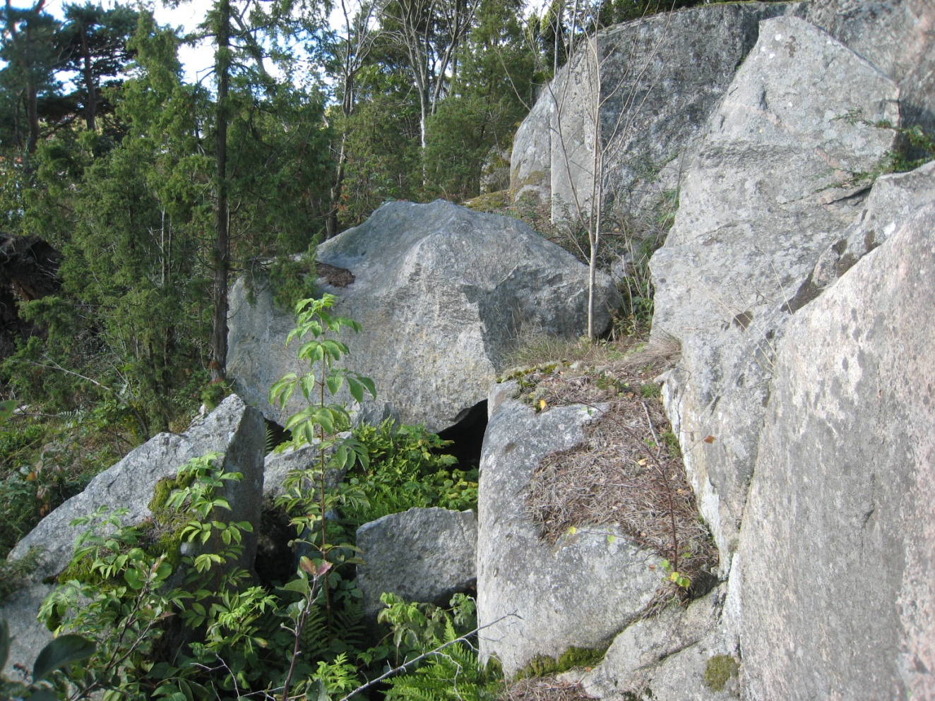 Bergets nivå har ej undersökts i denna utredning, men stopp mot sten block eller berg har erhållits ca 0,0-8 meter under markytan vid slagsondering.