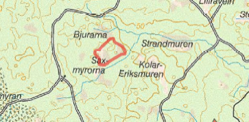 Sammanfattningsvis kan det, efter de tjäderinventeringar som utförts, konstateras att den enda aktiva spelplatsen för tjäder inom ansökningsområdet är Samyrorna.