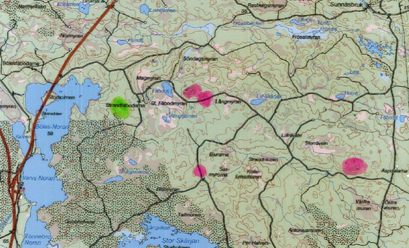 Bilaga 3: Inventeringskarta Tjäder Kartan anger ungefärliga platser och inkom från StoraEnso.
