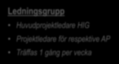 ORGANISATIONSMODELL AP 1 HIG Extern kommunikation Styrgrupp Huvudprojektledare HIG Extern projektledare Representant Lunner Kommune Projektledare för respektive AP