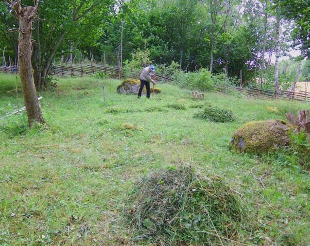 Lördagarna 5 och 12 augusti Slåtter på Hörningsnäsängen Vi gör en insats för vår fina äng i Hörningsnäs naturreservat.