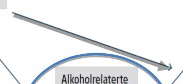 Enkel modell hur det hänger ihop Skillnader i alkoholrelaterade