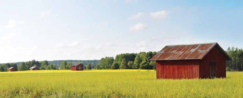 Försäkringar för lantbruksproduktion PRODUKTBESKRIVNING 460020s 11.15 Gäller från 1.1.2016 Om en produktionsbyggnad, maskin, anläggning, produkter och tillbehör samt djur skadas på ett lantbruk innebär det utgifter.