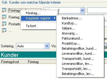 De sökkriterier som vid leverans av Pyramid är förinställda för varje register visas på fliken Standard.