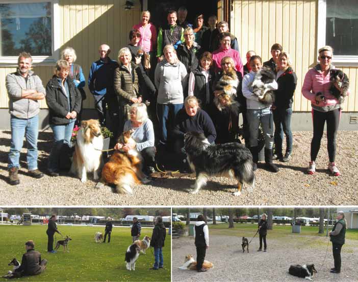Agility med Angelica Eklund Detta var första collielägret för mig och Ricco, och vi längtar redan till nästa. Det har varit en superhelg med fint väder, god mat och träning hela dagarna.