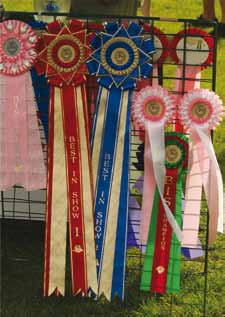 Bäst i Gruppen (BIG) och Best in Show (BIS) BIR (Bäst i Ras)-vinnande hundar tävlar inom respektive grupp. Konkurrensbedömning tillämpas.