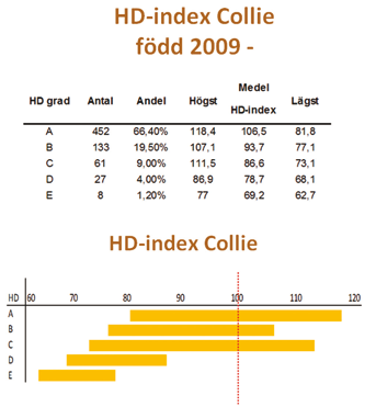 Hur ser det då ut för långhårig collie? I tabellen här nedan liksom diagrammet redovisas det intervall för MH-index som hundar med respektive grad ligger inom.