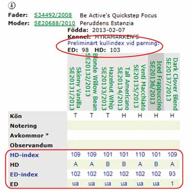 Preliminärt kullindex I de raser som har index för HD och/eller ED redovisas i Avelsdata, utöver enskilda hundars indexvärden, också någonting som kallas för preliminärt kullindex.
