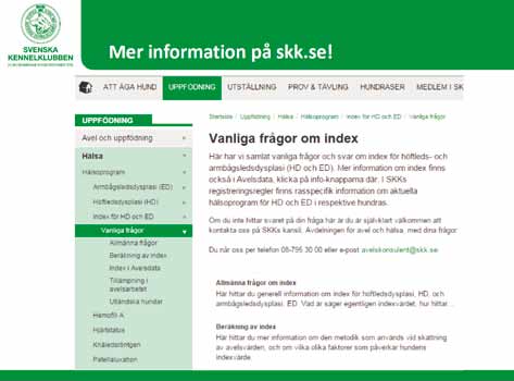 Under rubriken Kull/helsyskon i Avelsdata redovisas såväl preliminärt kullindex vid parning som individuella index för hundar med eget röntgenresultat. Läs mer på skk.se! På skk.