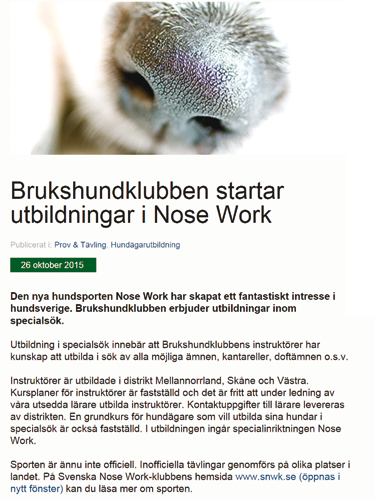 Träffade också Beate som har vom Schwarzen Feuer och vi avslutade med att samla alla hundar från hennes och Verenas uppfödning för ett gruppfoto.