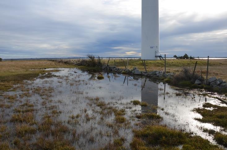 NÄSUDDEN PÅ SYDVÄSTRA GOTLAND NATURVÅRDSUNDERLAG MED AVSEENDE PÅ PLANERAD VINDKRAFTSUTBYGGNAD I VÅTMARKSOMRÅDE Sammanfattande bedömning Projektet Näsudden Öst innebär att befintliga vindkraftverk