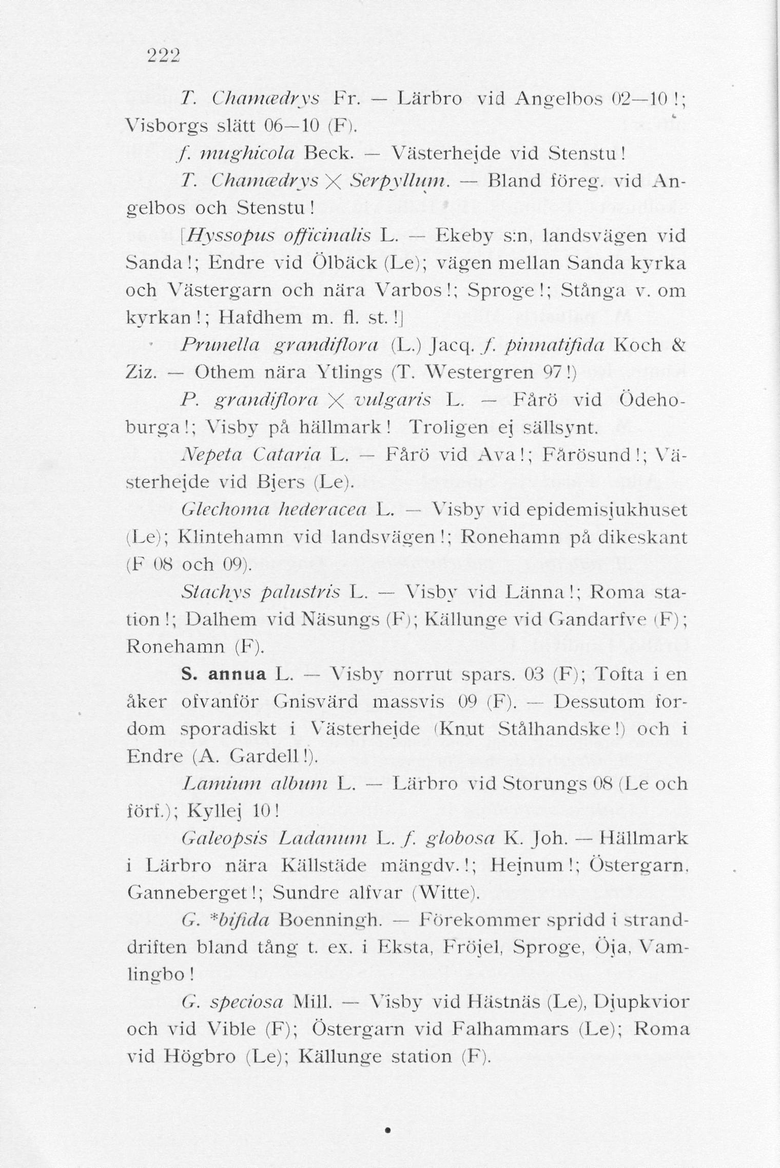 222 T. Chamcedrys Fr. Lärbro vid Angelbos 02 10!; Visborgs slätt 06 10 (F). / mughicola Beck. Västerhejde vid Stenstu! T. Chamcedrys X Serpyllum. Bland föret;, vid Angelbos och Stenstu!