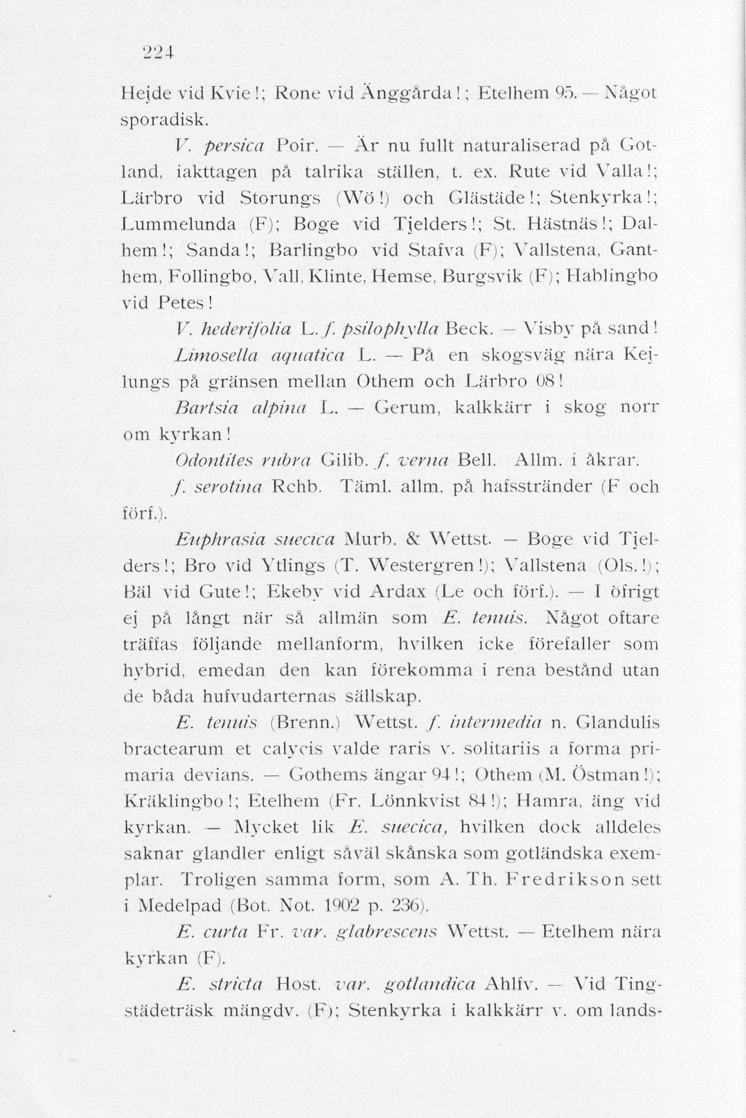224 Hejde vid Kvie!; Rone vid Änggårda!; Etelhem 95. Något sporadisk. V. persica Poir. Ar nu fullt naturaliserad på Gotland, iakttagen på talrika ställen, t. ex. Rute vid Valla!