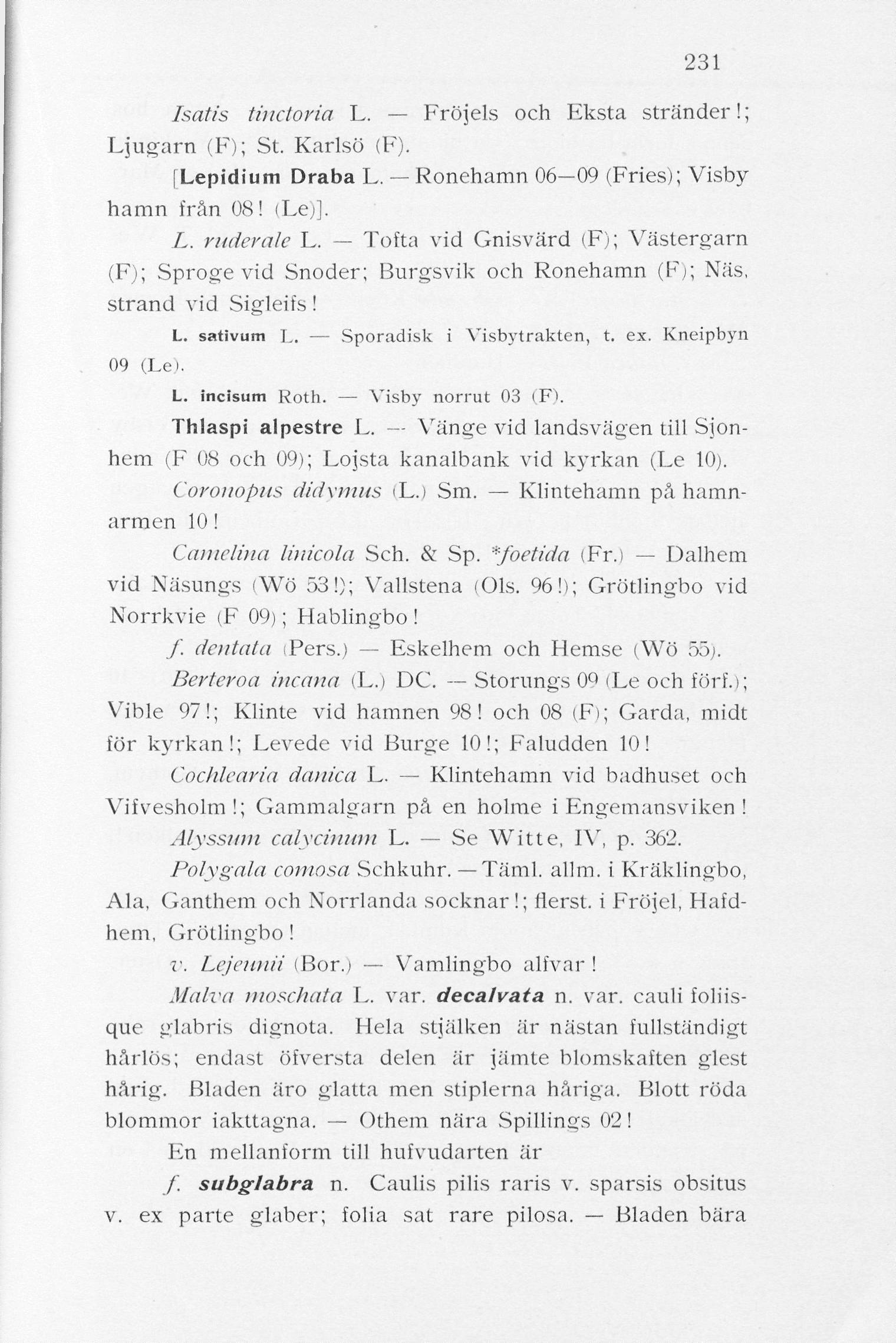 231 Isat/'s tinctoria L. Fröjds och Eksta stränder!; Ljugarn (F); St. Karlsö (F). [Lepidium Draba L. Ronehamn 06 09 (Fries); Visby hamn från 08! (Lej]. L. ruderale L.