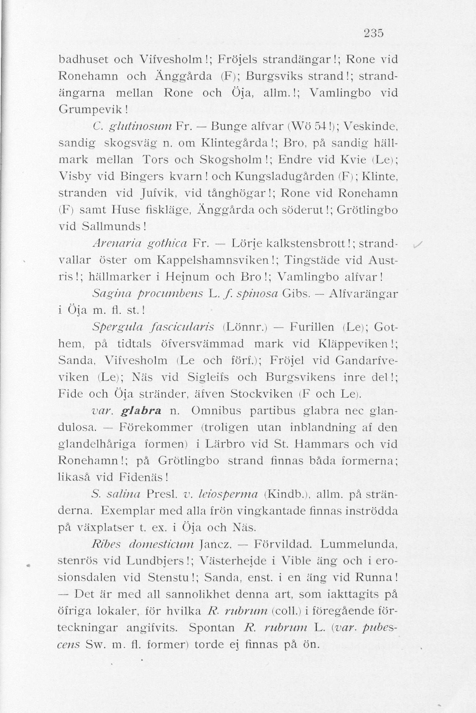 235 badhuset och Vifvesholm!; Fröjds strandängar!; Rone vid Ronehamn och Anggårda (F); Burgsviks strand!; strandängarna mellan Rone och Öja, allm.!; Vamlingbo vid Grumpevik! C. glutinosum Fr.