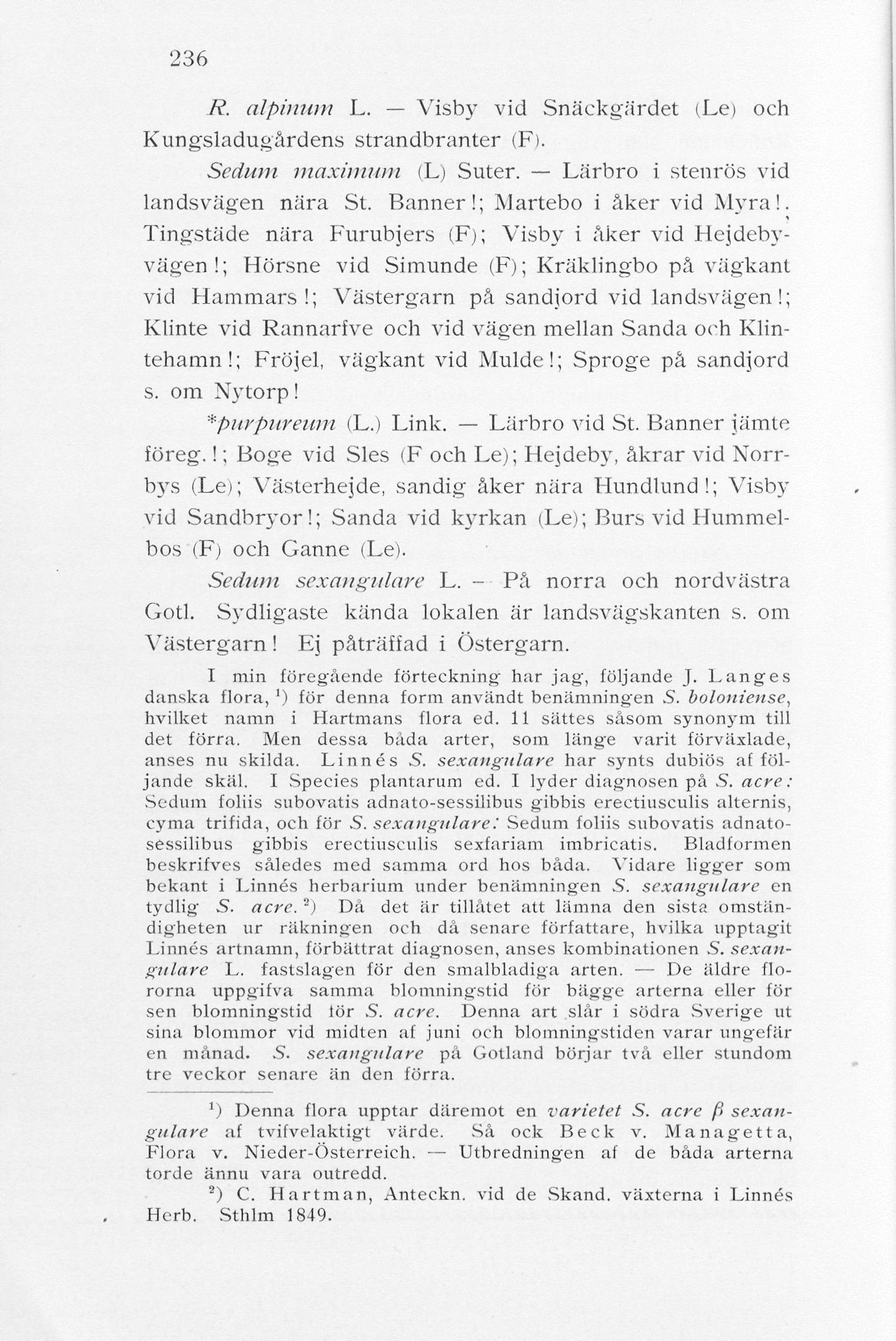 236 R. alpinum L. Visby vid Snäckgärdet (Lei och Kungsladugårdens strandbranter (F). Sedmti maximum (L) Suter. Lärbro i stenrös vid landsvägen nära St. Banner!; Martebo i åker vid Myra!
