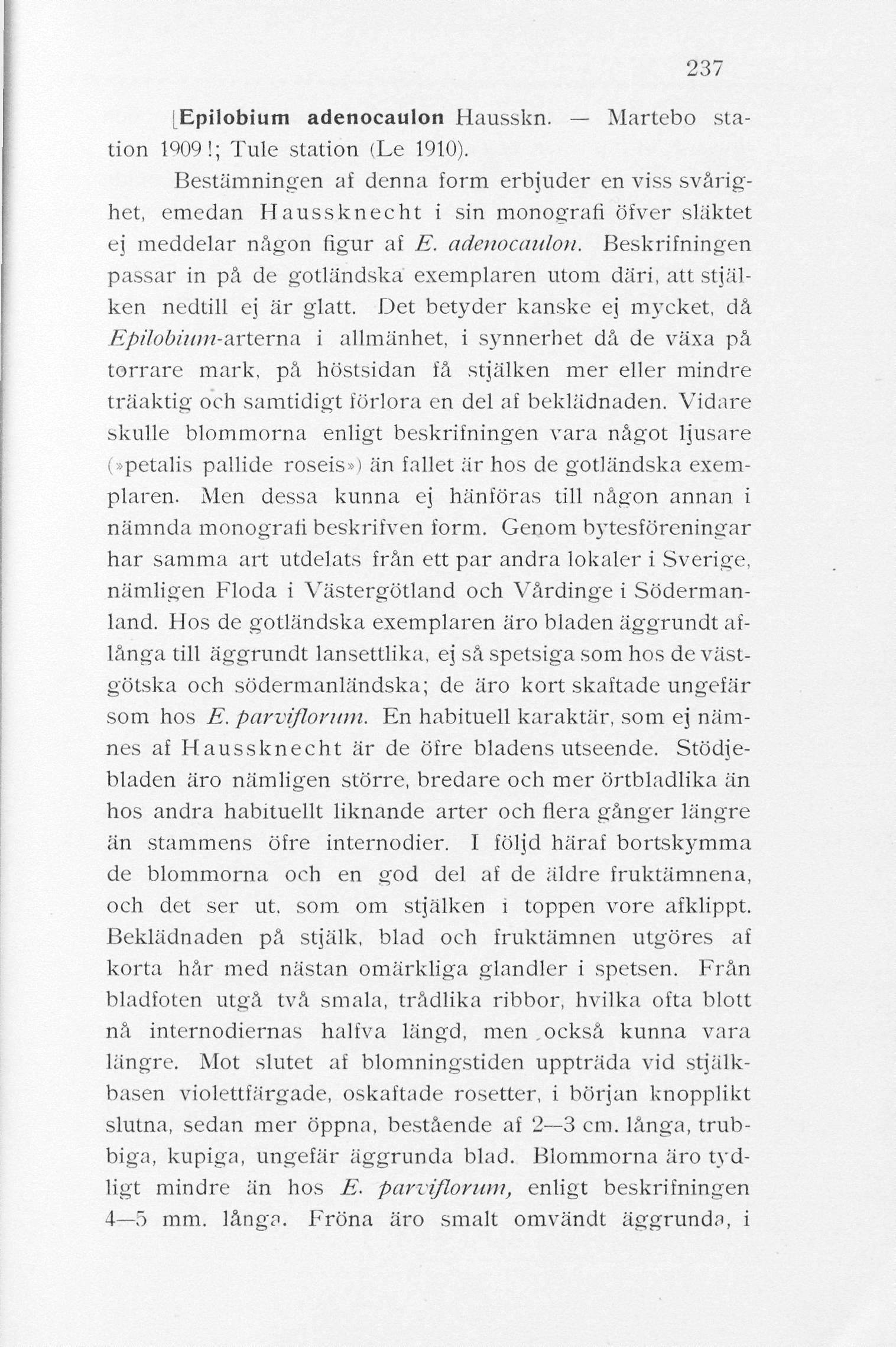 237 [Epilobium adenocaulon Hausskn. Martebo station 1909!; Tule station (Le 1910).