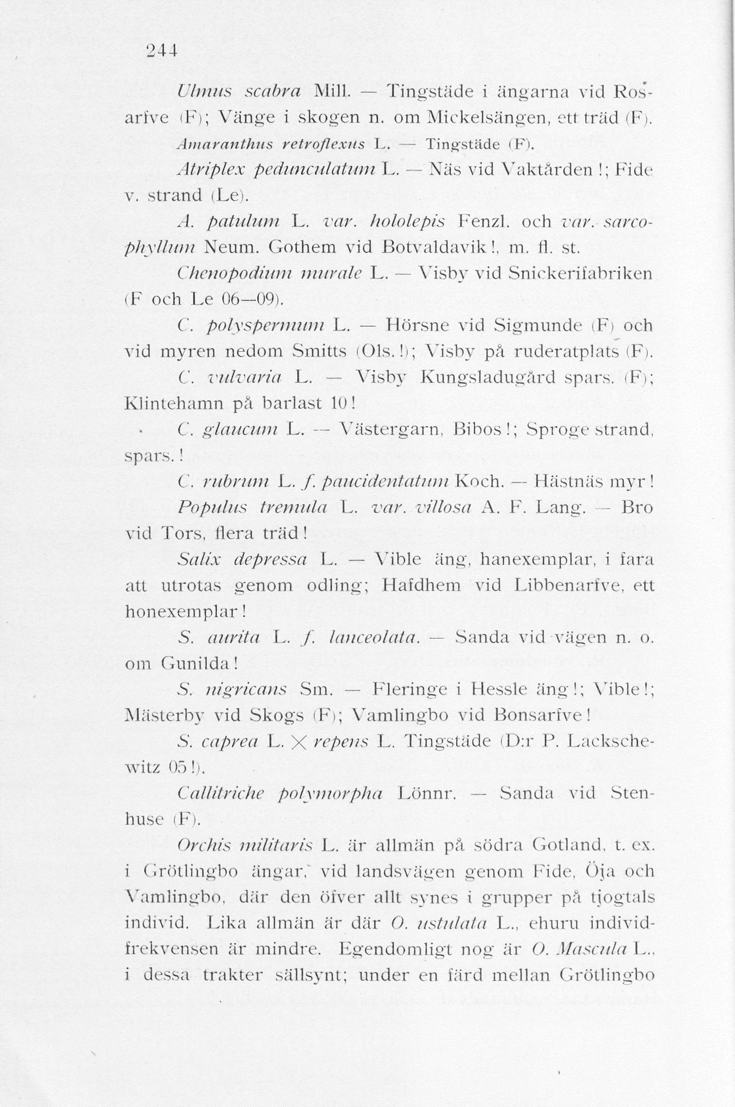 '244 U/inns scabra Mill. Tingstäde i ängarna vid RosarJve (F); Vänge i skogen n. om Mickelsängen, ett trad (F). Amaranthus retroflexus L. Tingstäde (F). Atriplex pedunculatum L. Näs vid Yaktården!