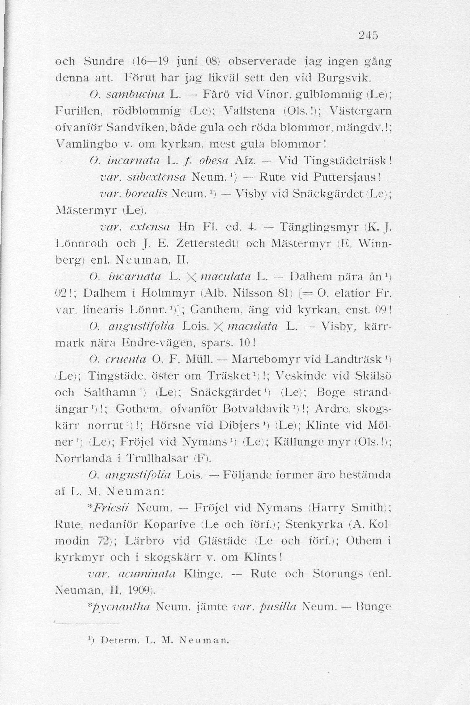 245 och Sundre (16 19 juni 08) observerade ja»- ingen gång denna art. Förut har jag likväl sett den vid Burgsvik. O. sambucina L. Fårö vid Vinor.