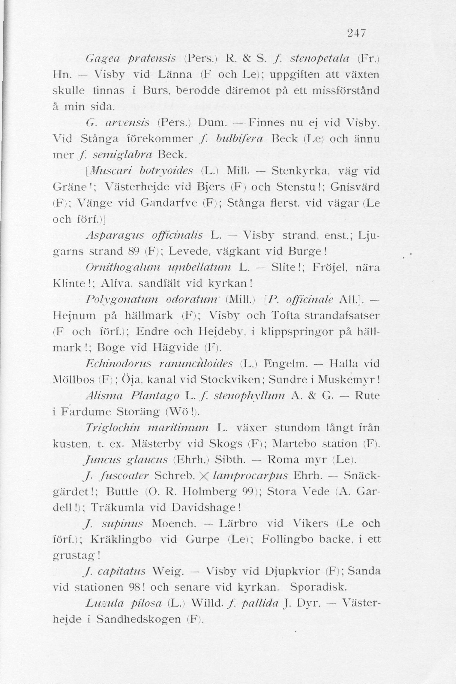 247 Gagea pratensis (Pers.) R. & S. f. stenopetala (Fr.) Hn. Visby vid Länna (F och Le); uppgiften att växten skulle linnas i Burs, berodde däremot på ett missförstånd å min sida. G. arvcnsis (Pers.