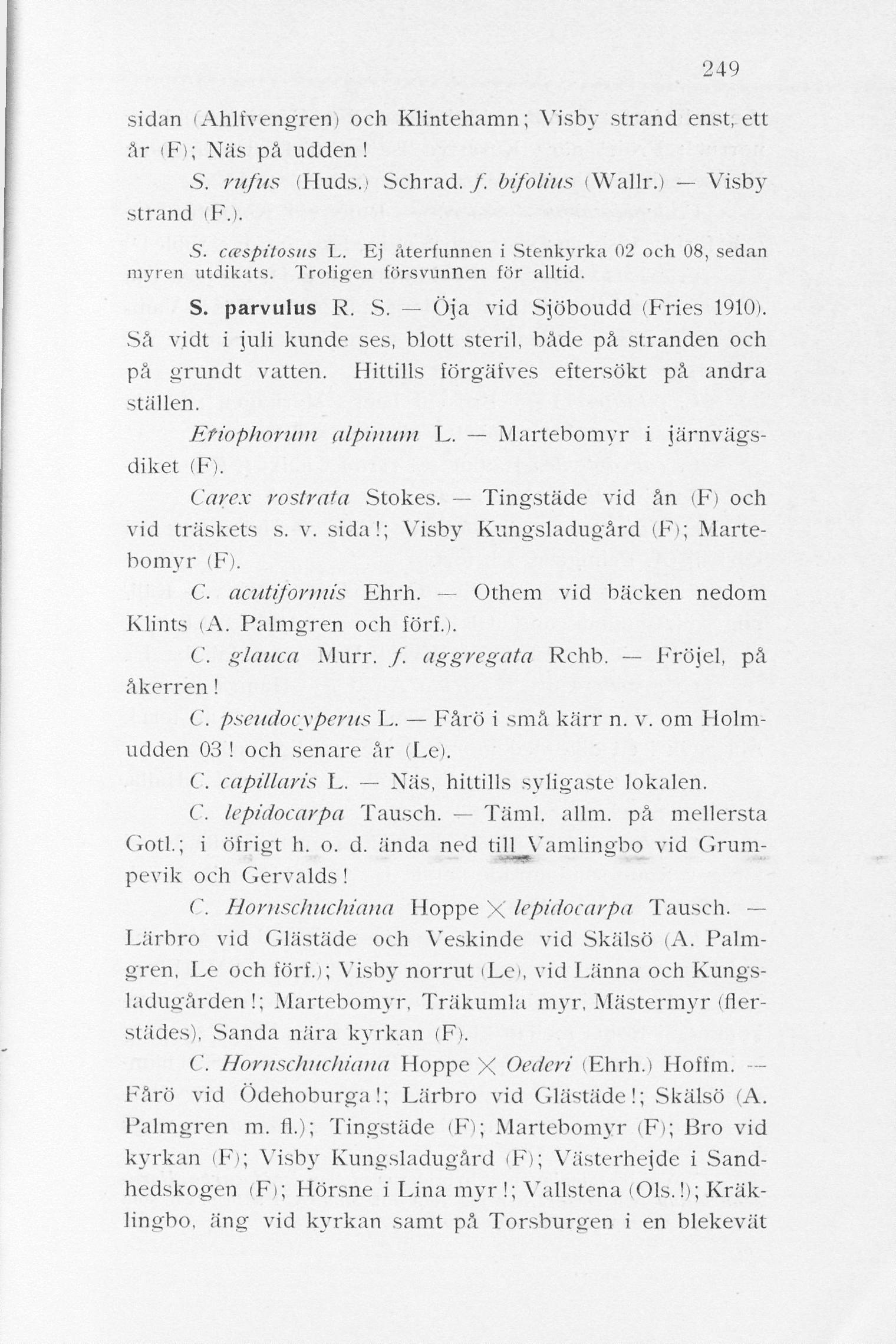 249 sidan iahlfvengren; och Klintehamn; Visby strand enst, ett år (F); Näs på udden! 5, rufus (Huds.) Schrad. / bifolins (Wallr.) Visby strand (F.). S. ccespilosits L.