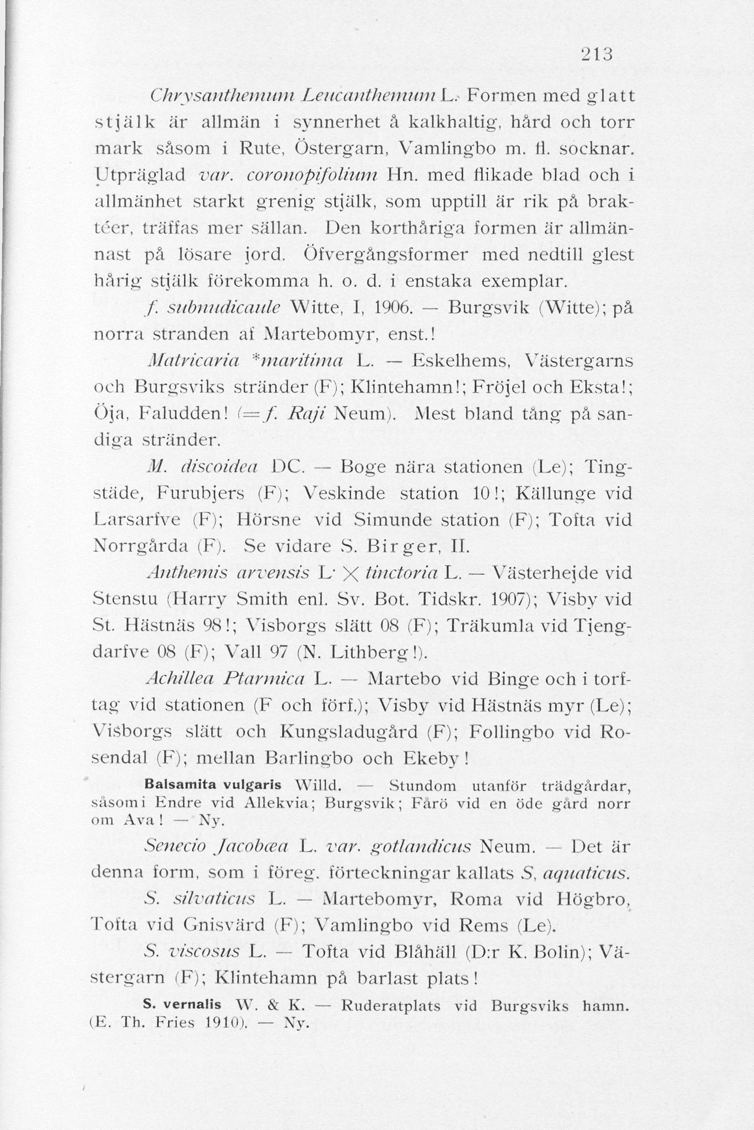 213 Chrysanthemum Leucanthemum L- Formen med glatt stjälk är allmän i synnerhet å kalkhaltig, hård och torr mark såsom i Rute, Östergarn, Vamlingbo m. 11. socknar. Utpräglad var. coronopifolium Hn.