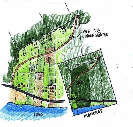 Landsbygdsprogrammet 2007-13 AXEL 1 Konkurrenskraftigt jord- och skogsbruk Förbättra fastighetsindelningen Markåtkomst för nyetableringar Skapa