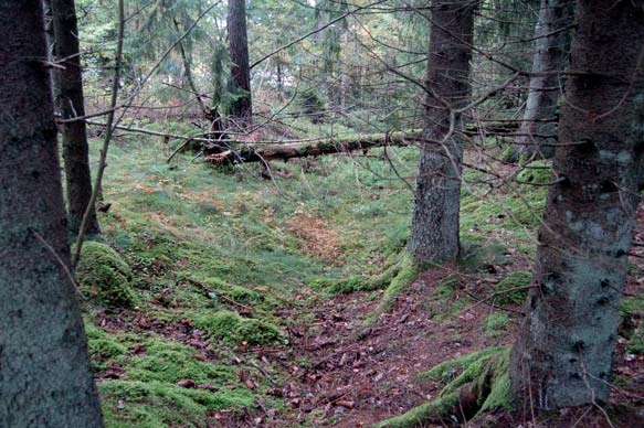 Bilaga 2. Beskrivning av befintliga RAÄ- och ÖM-nummer samt objekt RAÄ 36 Lämningstyp: Hägnad Antikvarisk bedömning: Fast fornlämning Terräng: Flack moränmark, f.d hagmark.