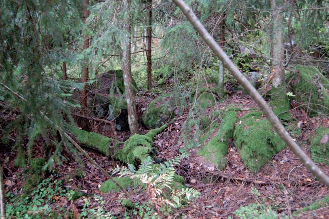 Del av stensträngen, ÖM 2. Foto Anders Persson, Östergötlands museum. ÖM 2 Lämningstyp: Hägnad Antikvarisk bedömning: Fast fornlämning Terräng: NÖ-sluttande, något stenig, moränmark,. Skogsmark.