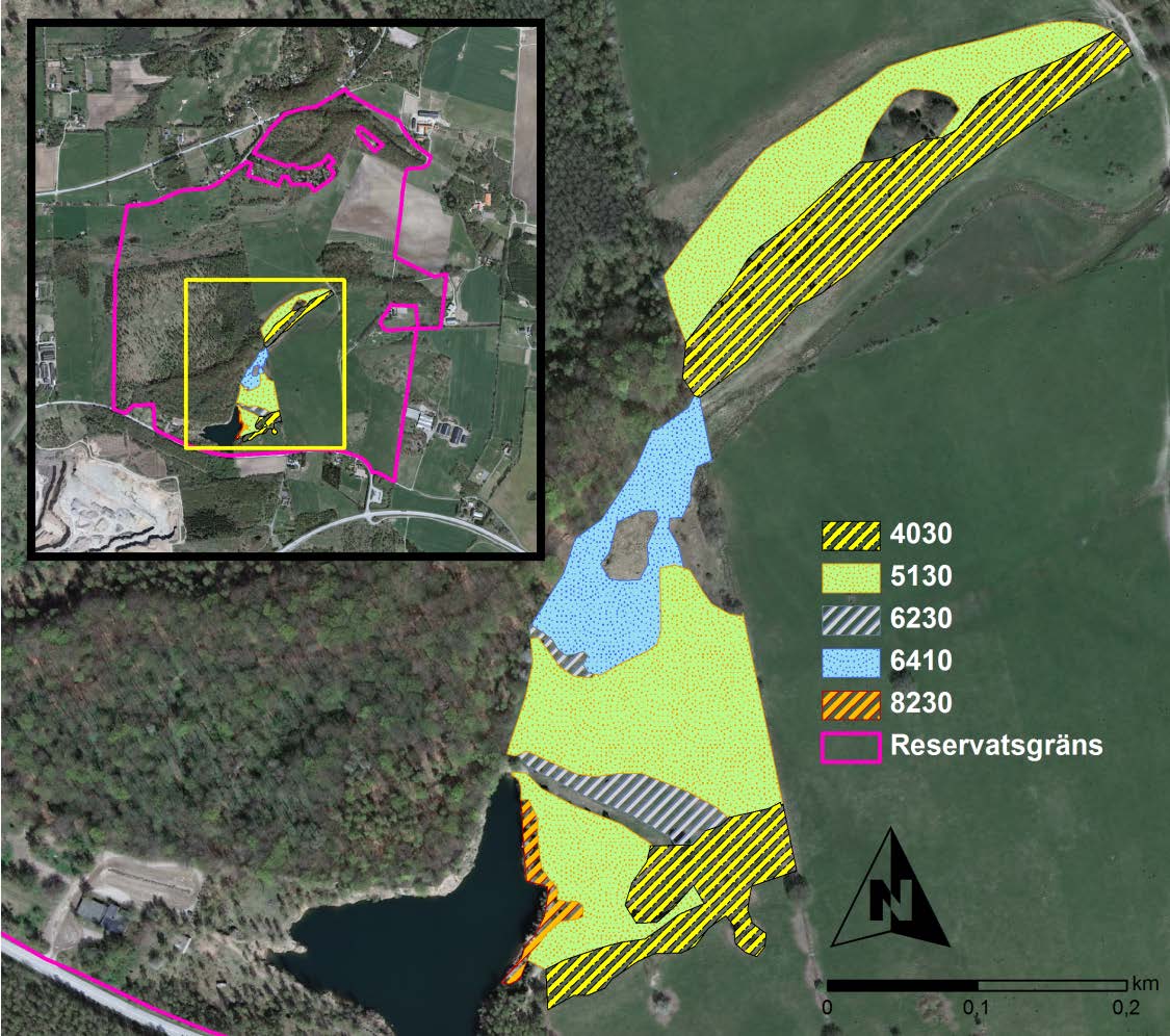 Områdesbeskrivningar med resultat Knivsås-Borelund Knivsås-Borelund i Lunds kommun är naturreservat sedan 1994 och Natura 2000-område sedan 2004.