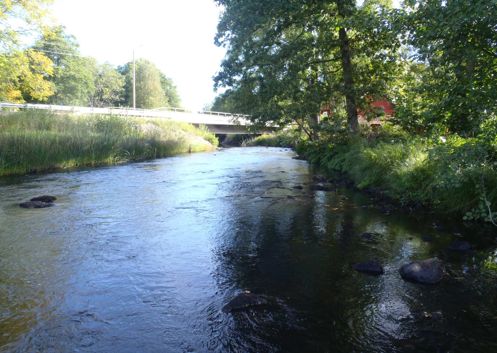 LYCKEBYÅN 213 Bilaga 12 14 Lyckebyån, Stubbelycke/Viökvarn Koordinat: Allmän information Elprovfiske 1 (2) 62423/149172 Datum: 21394 Elfiskelokalen är belägen strax uppströms en drygt 1 m lång