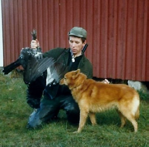 Intryck från utställningsringen Av: Stig Brännvall När tikarna bedömdes fick jag känslan att jag befann mig i en stövar ring.