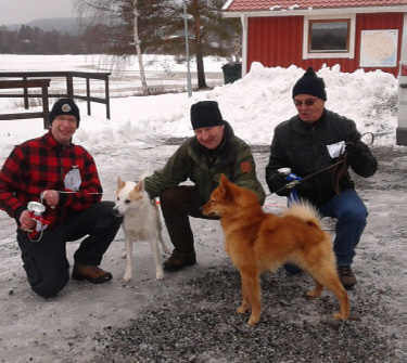 Utställning Bredbyn 2014-02-15 höll SSF Ångermanland sin årliga hundutställning i Bredbyn. Domare var Thomas Eriksson som bara fick döma 26 hundar.