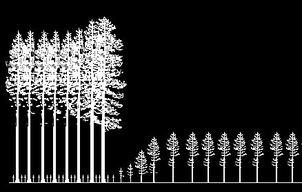 Sammanfattning Produktion av stamvolym är lika stor i skiktad skog som i enskiktad skog. Värdeproduktionen är högre i skiktad skog. För att uppnå hög avkastning, dvs.