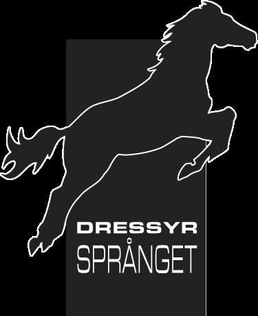 -13- Stackarps Peer- Boy RNF 185 På min nybyggda anläggning Stall Myrtorpet söder om Växjö, tar jag emot och utbildar ponnyer och hästar för: