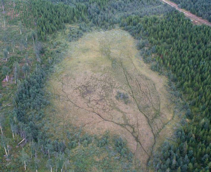 Kalkningsmetoder På våtmarker (kärr, mader) sprids kalken från helikopter.