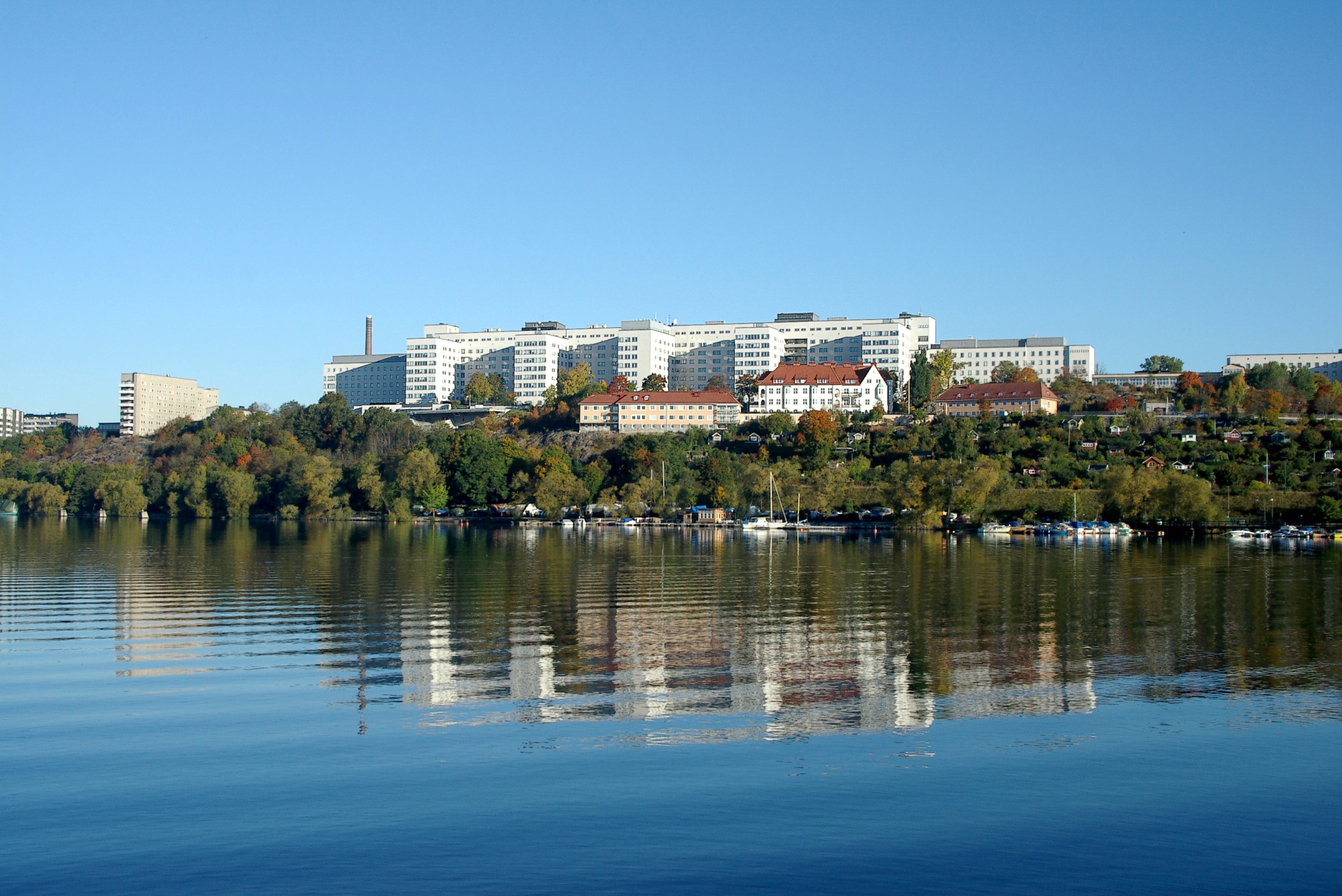 FASTIC Follow up After Surgical Treatment for Intermittent Claudication Sara Haile Spec. sjuksköterska i kirurgisk vård Mag.