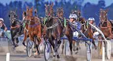 PRELUDIO AS (IT) 0:, AK Tot: --.0,br.v.e Credit Winner - : 0-0-,a.00 : 0--,a.0 Ima Quick e Donerail Dal Th Ax /- /0, cc 0' Uppf: Allev.