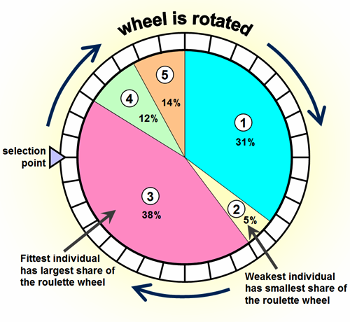 Roulettehjuls selektion Roulettehjuls selektion fungerar så att på samtliga individer räknas deras fitness ut och sedan normaliseras dessa värden så att varje individ får ett värde mellan 0-100, ju