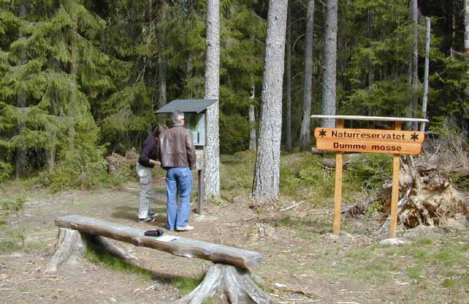 Sociala och rekreativa värden Vistelse i natur minskar stress samt ger bättre mental och fysisk hälsa hos både barn och vuxna, och är därför en folkhälsofråga av stor ekonomisk betydelse.