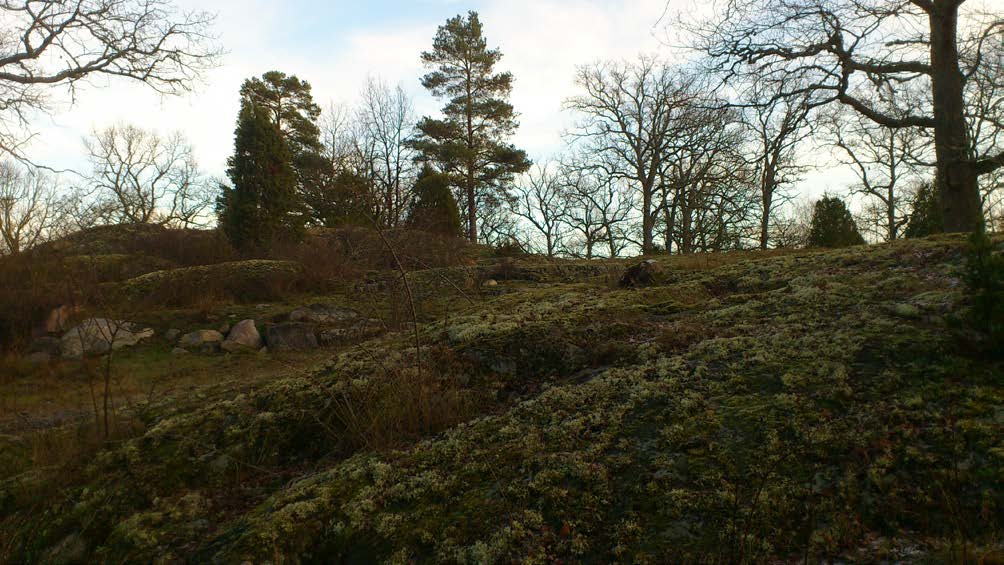 Antagandehandling Detaljplan för Björkö 1:39, Loftahammar Västerviks kommun, Kalmar län KOMMUNSTYRELSENS FÖRVALTNING Enheten för samhällsbyggnad 2015-06-11 PLAN- OCH GENOMFÖRANDEBESKRIVNING