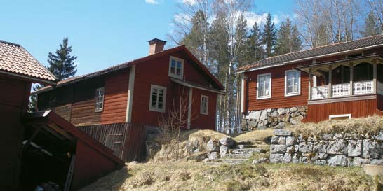 Träet i fokus på mindre gård När Staffan Olsson år 1969 övertog ansvaret för föräldragården i Stocksbo, Färila, fanns det bara nio koplatser i ladugården.