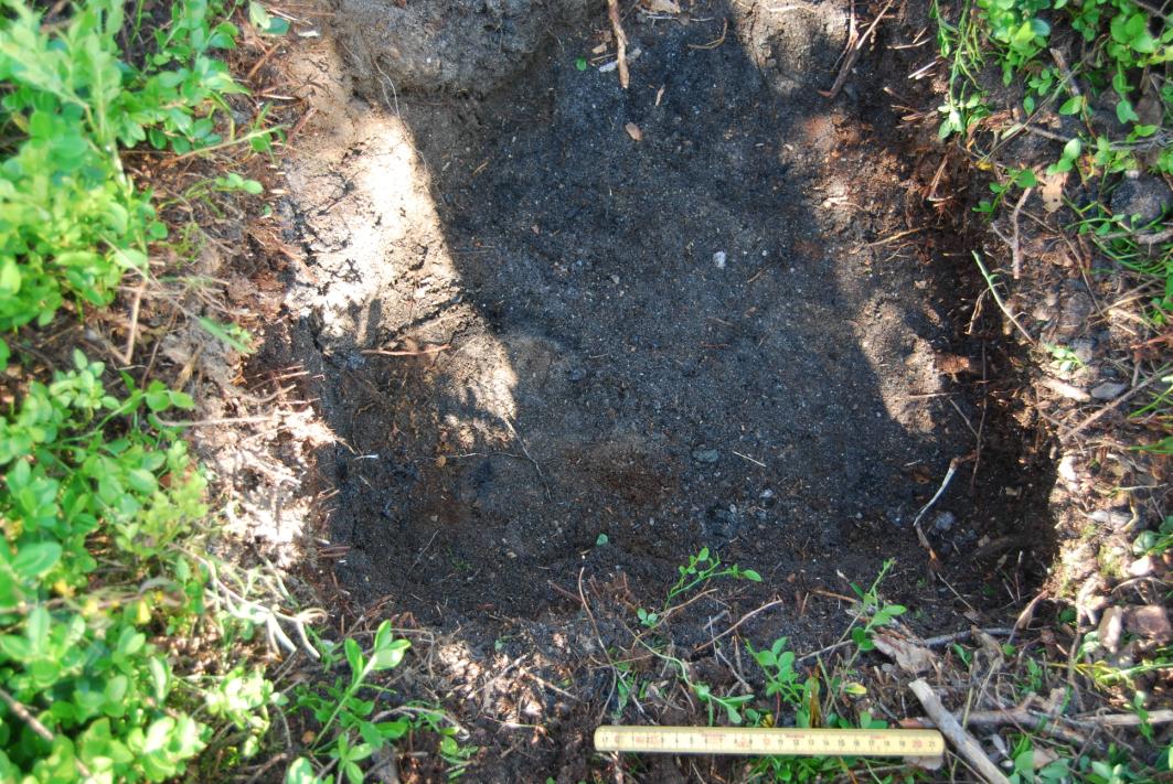 Botten av kolgropen i S1 i plan. Sett mot väster. Fotograf: Jakob Johansson Det blev under utgrävningen taget två prover. Dessa prover från undersökningen är katalogiserade under C57338. 5.