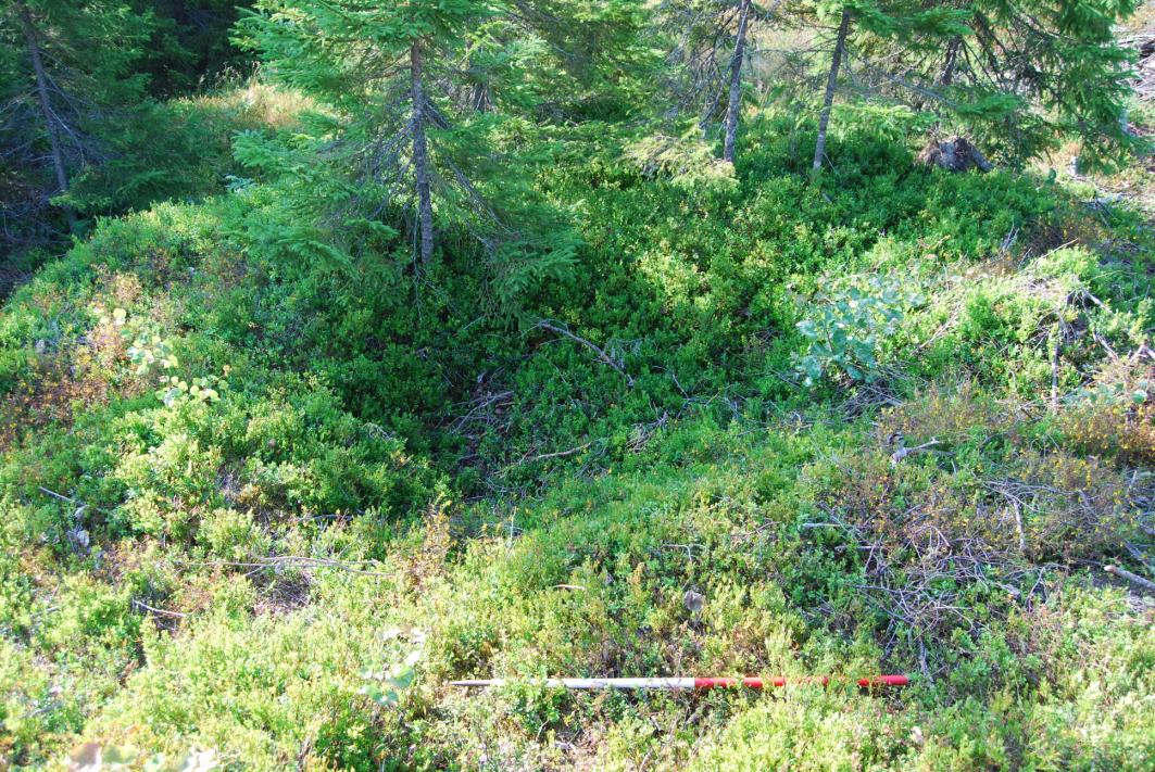 vara för krävande att få upp maskinen till de strukturer som skulle grävas så det beslutades att gräva dem förhand. 02.07.09 S1 och S2 grävdes ut.